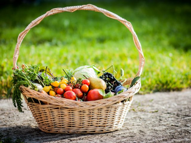Panier en osier rempli de legumes et de fruits dans un jardin