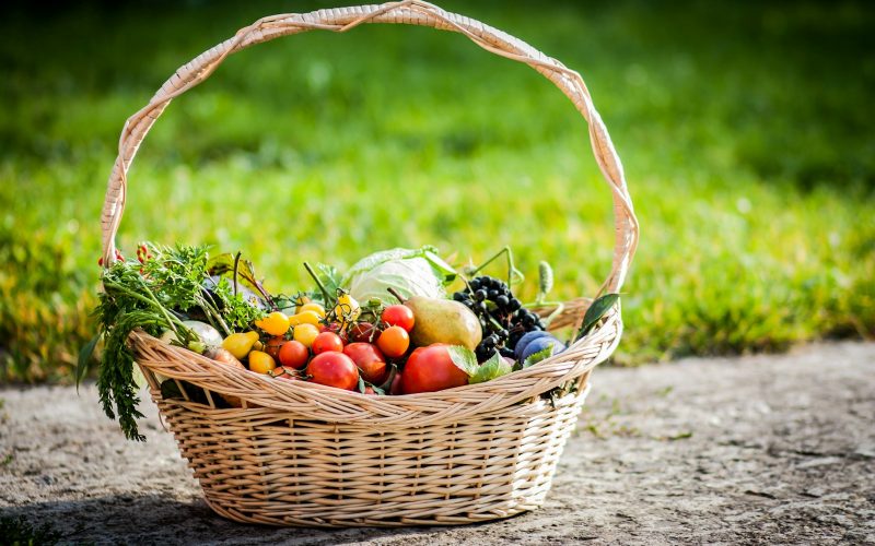 Panier en osier rempli de legumes et de fruits dans un jardin