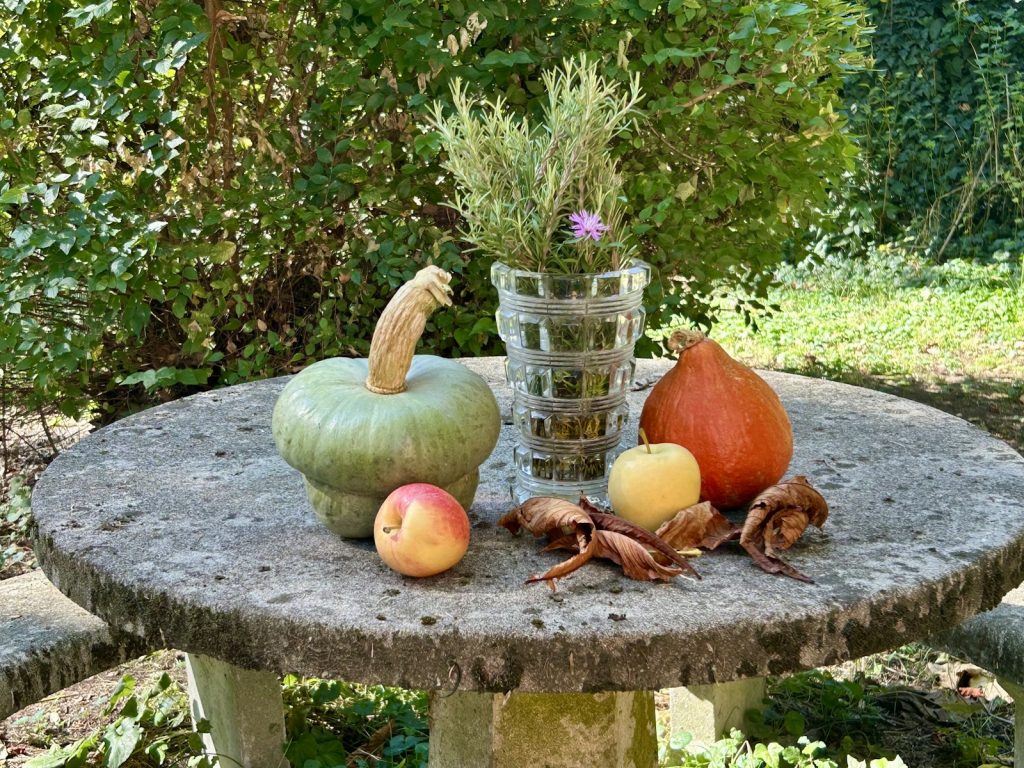 Des recettes équilibrées à savourer en septembre