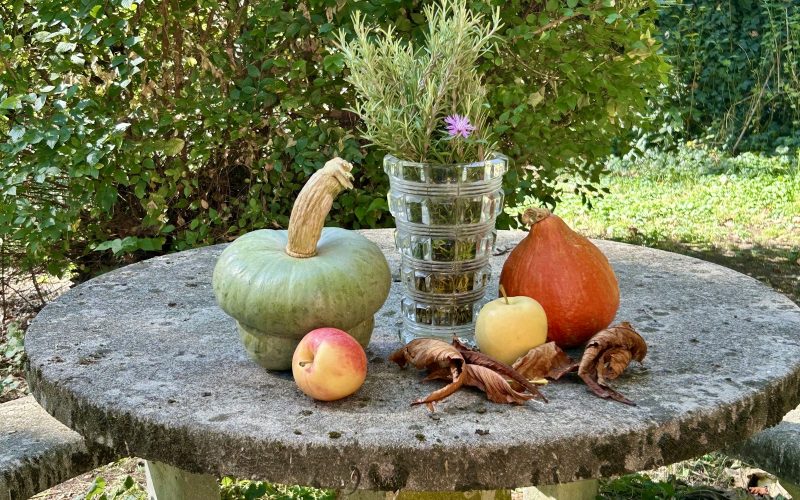 Petits potirons et une pomme sur une table en pierre, legumes d automne