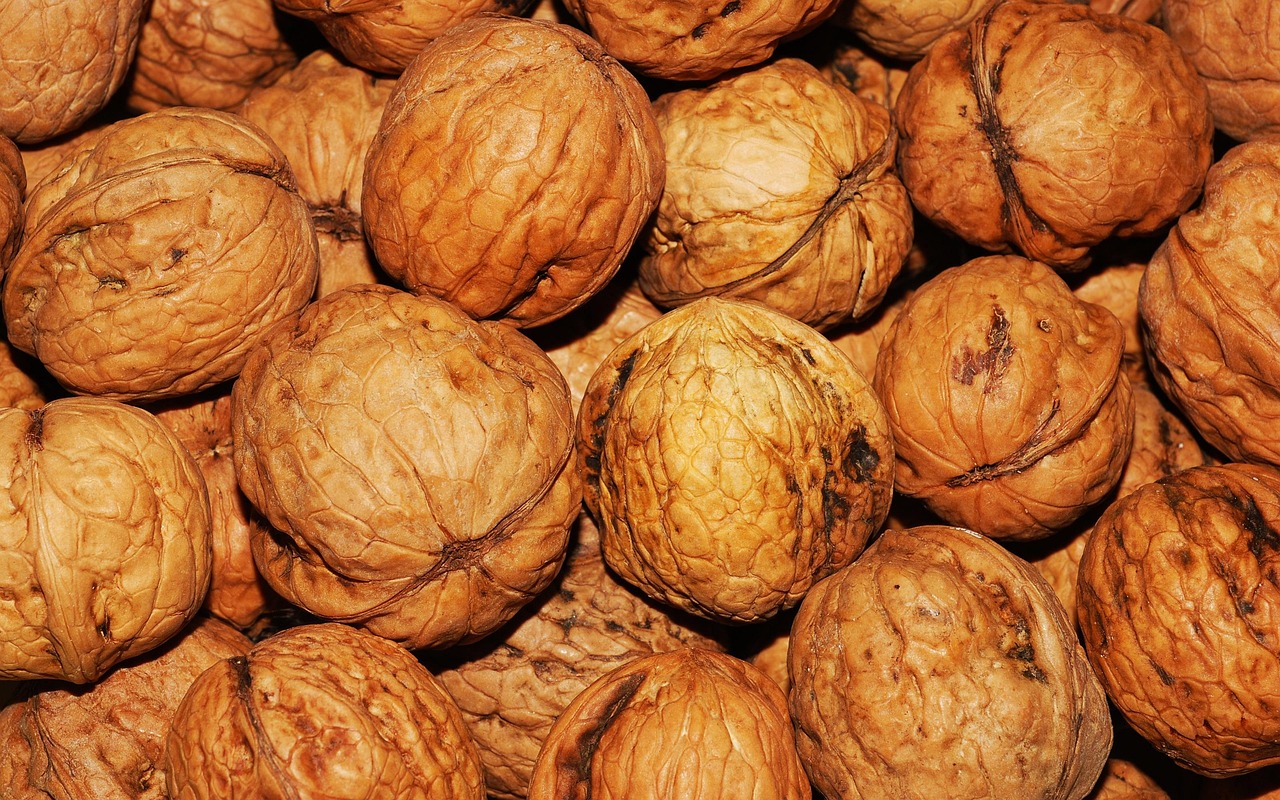 Tas de cerneaux de noix, aliment bon pour la memoire