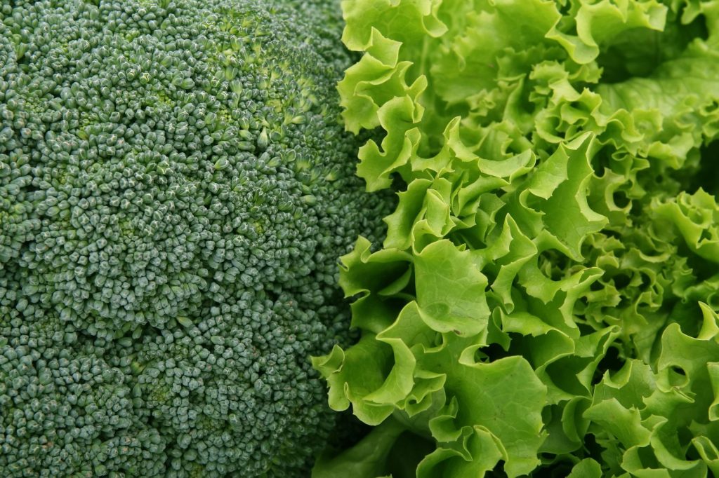 Les Légumes Verts de Septembre : Un Atout pour Votre Santé