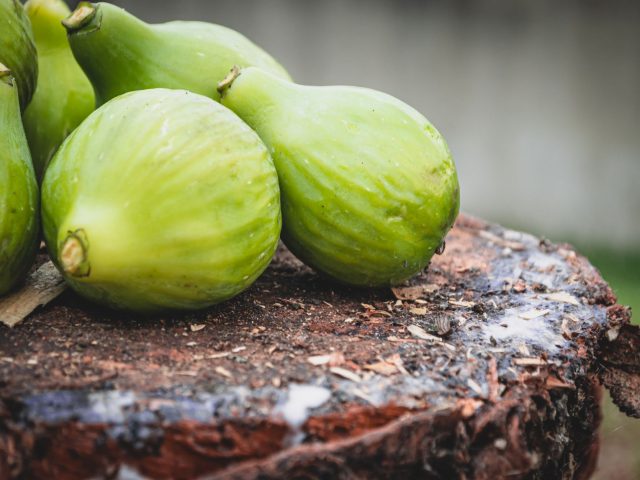 Les figues, alliées de votre santé digestive