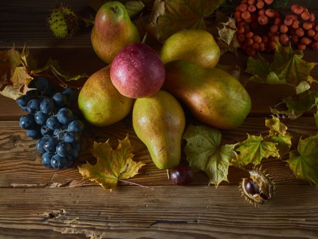 Pourquoi l’automne est-il le moment idéal pour booster votre santé ?