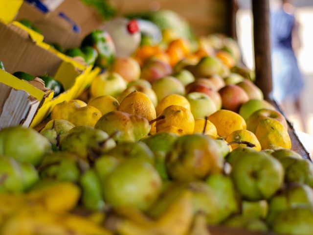 Quels aliments privilégier pour des os solides ? Les experts répondent