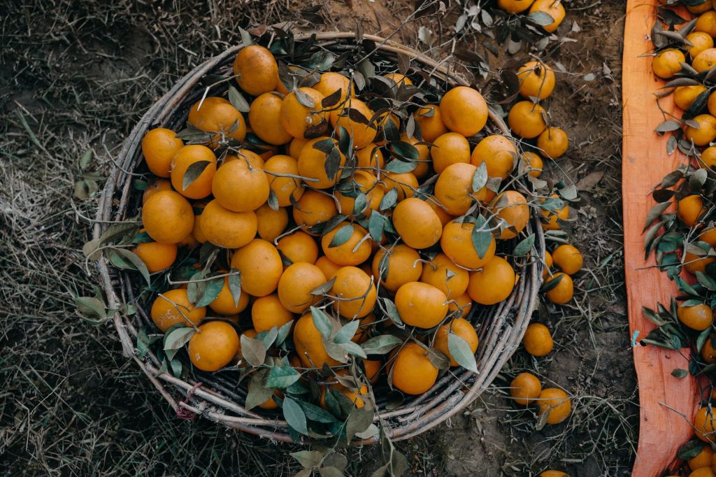 Ces aliments orange boostent votre immunité cet automne